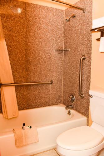 Antlers Inn Goliad - image 38