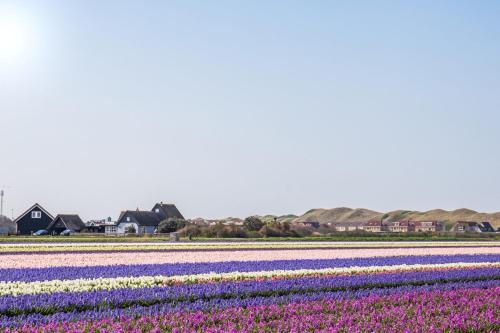 Chalet de Ooievaar op Camping Oudesluis in Oudesluis
