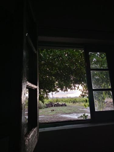 Kilátás, Finca La Nelly, Casa de campo 7 hectáreas de viñedo, vista a las montañas a metros del Rio Atuel (Finca La Nelly, Casa de campo 7 hectareas de vinedo, vista a las montanas a metros del Rio Atuel) in Salto de las Rosas