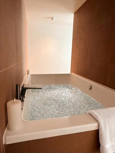 Appartment with terrace and Jacuzzi Pyramid view, Vienne (Foto 8)
