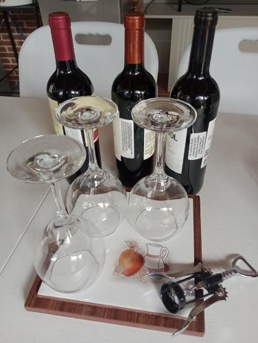 Cozy Family Apartment in Cobán