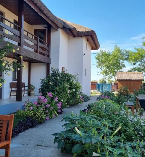 . Pension Vasiliu