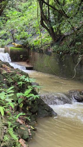 Surrounding environment, Estudio da Floresta in Tijuca