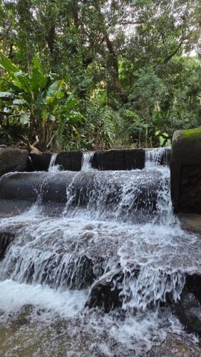 Nearby attraction, Estudio da Floresta in Tijuca