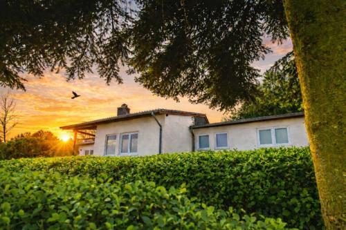 Ferienhaus EIFELZEIT am See in Hamm (Bitburg-Prum)
