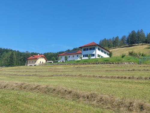 Sommerholz in Gmundnerberg, Österreich
