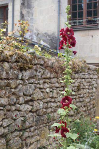 À deux pas du château (A deux pas du chateau) in Azay-le-Rideau