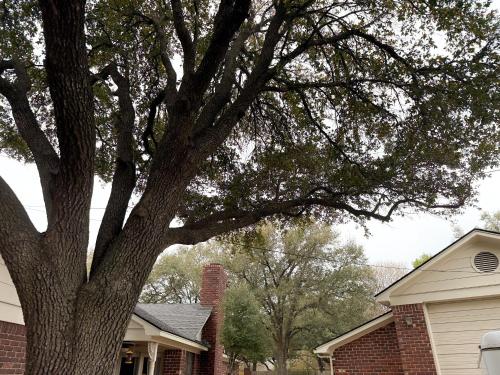 Blue Bonnet Cottage in Makgregora (TX)