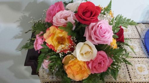 Friendly Venice Suites - main image