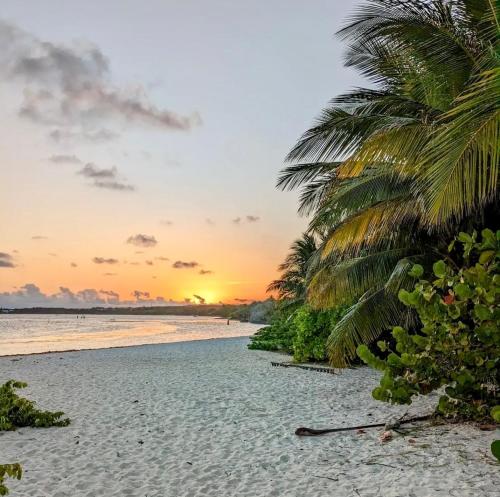 Maison face à la mer - Proche des commerces (Maison face a la mer - Proche des commerces) in Sainte Anne