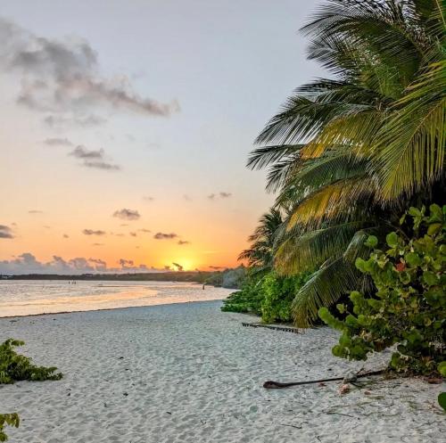 Maison face à la mer - Proche des commerces (Maison face a la mer - Proche des commerces) in Sainte Anne