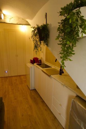 Gran mini suite by RD Domus
