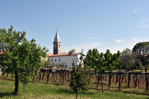Iekārtas, Holiday Home Rozina - Happy Rentals in Pliskovica