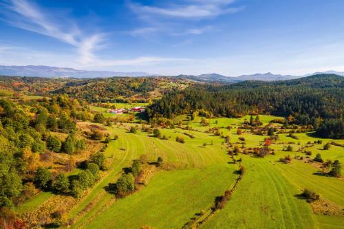 Iekārtas, Holiday Home Rozina - Happy Rentals in Pliskovica