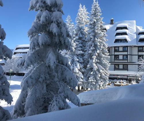 Apartments Konaci BOOKING in Kopaonik