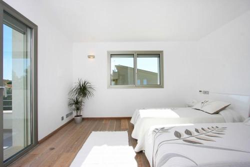 Casa Linda Casa Linda