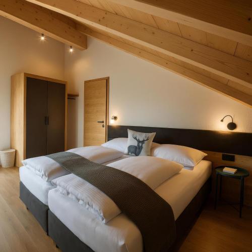 Seelos - Alpine Easy Flats, Mieming (foto 7)