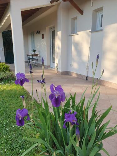 A Casa Nostra gîte à louer San Romano
