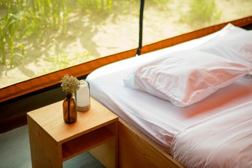 Maïsterplan (Maisterplan) in دامي