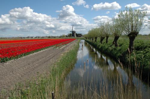 Hotelhuisjes Medemblik