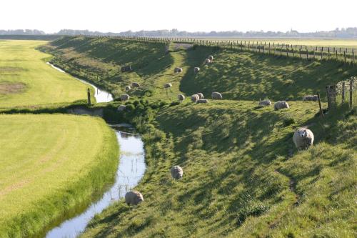 Hotelhuisjes Medemblik