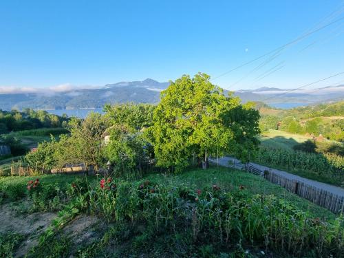 Skats, Fanarele din Hangu in Ruginești