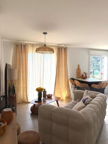 Cozy Home