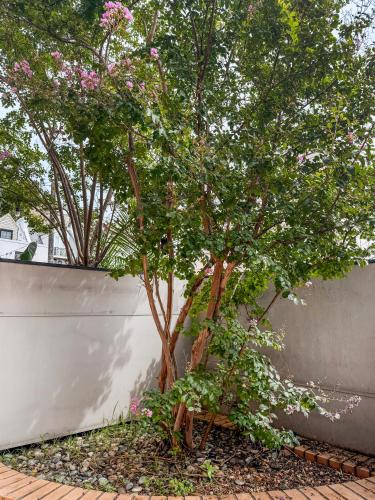 Woolloomooloo NSW - 3 Bedroom Apartment with 1 Parking Space - image 13