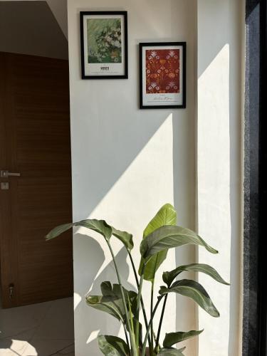 Avasa Seaview Villa in Harnai