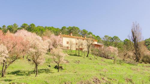 Casa Rural Mirabueno