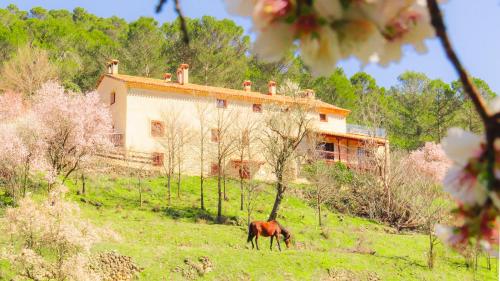 Exterior view of Casa Rural Mirabueno