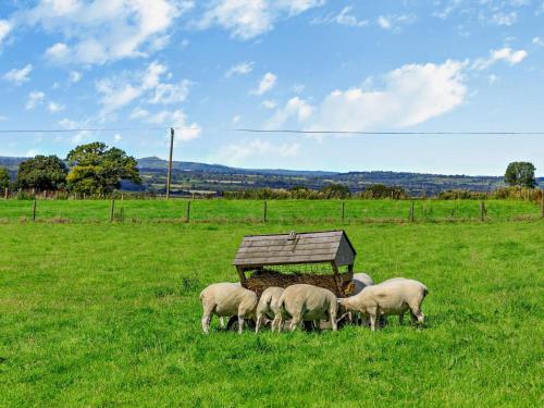 設施, 3 Bed in Yeovil oc-htorv in 凱里堡