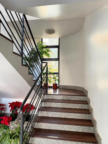 Camera, familiare, balcone