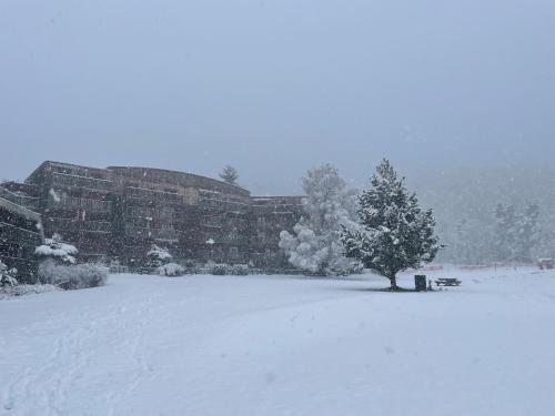 La Marmotte ensoleillée (La Marmotte ensoleillee) in Montclar