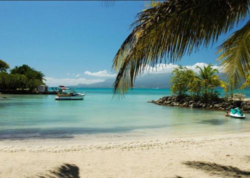 Sweety Caraibes