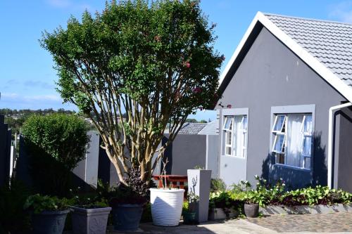 Khanyisa BnB in Cambridge West