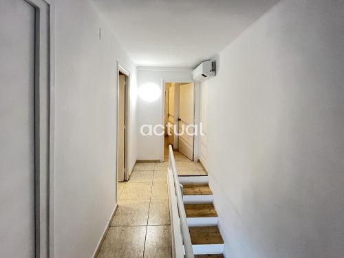 Cavall Bernat II - image 2