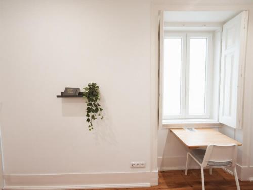 Embassy Arriaga Private Elegance Rooms in Stylish Shared Apartment 5