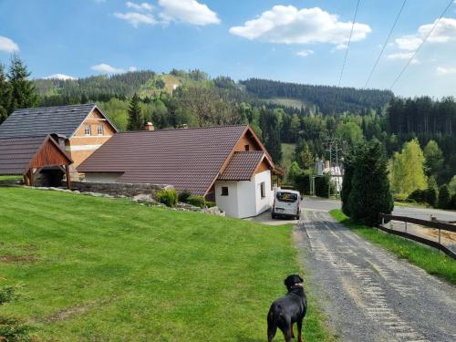 Prázdninový dům u Špičáku (Prazdninovy dum u Spicaku) in Albrechtice V Jizerskych Horach
