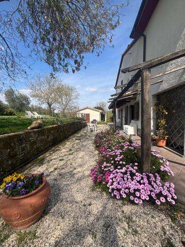 Exterior view of Agriturismo La Locandiera