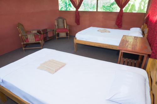 Viesnīcas āriene, Maniti Eco-Lodge in Francisco de Orellana