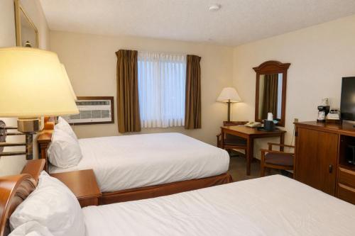 Lone Tree Inn - image 35