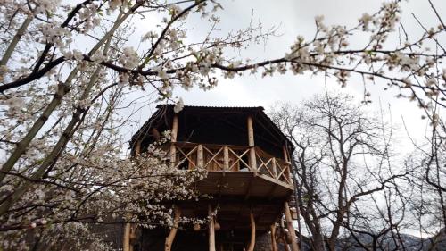 . Hors's Home