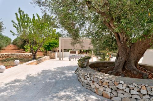 Facilities, TRULLO the MAGNIFICENT in Contrada Donnagnora
