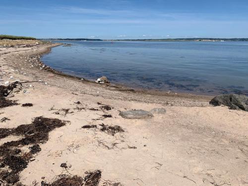 Bo i vandkanten på Avernakø (Bo i vandkanten pa Avernakø) in Avernako