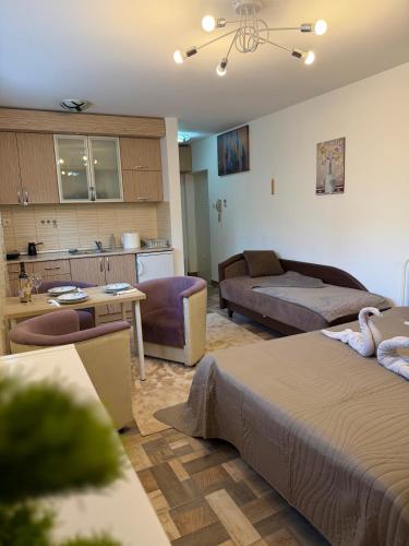Apartman Kitanović 2 Vrnjačka Banja