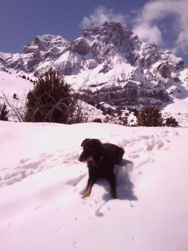  Peña Ó Telera in Tramacastilla de Tena