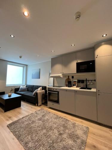 Affordable Luxury Apt - Hotel Vibe - Heart of Voss in Voss