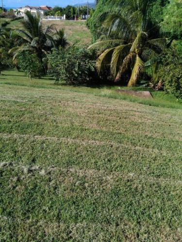 Jardim, Elegant 1 Bedroom Apartment Near Roseau in Morne Daniel in Canefield