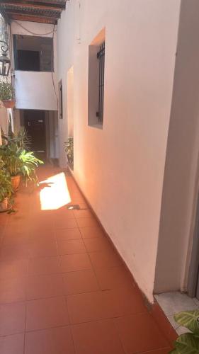 Sarmiento 2224